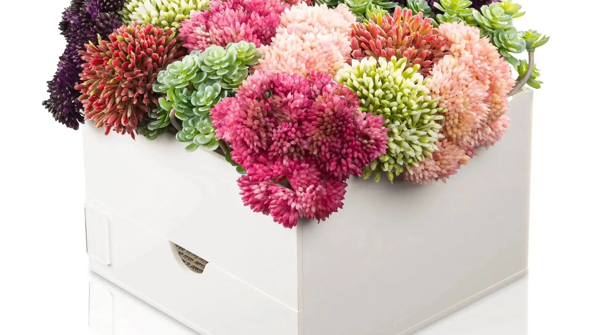 How to Present a Housewarming Gift (So It Feels Like More Than Just a Gift Bag) - Waterdale Collection