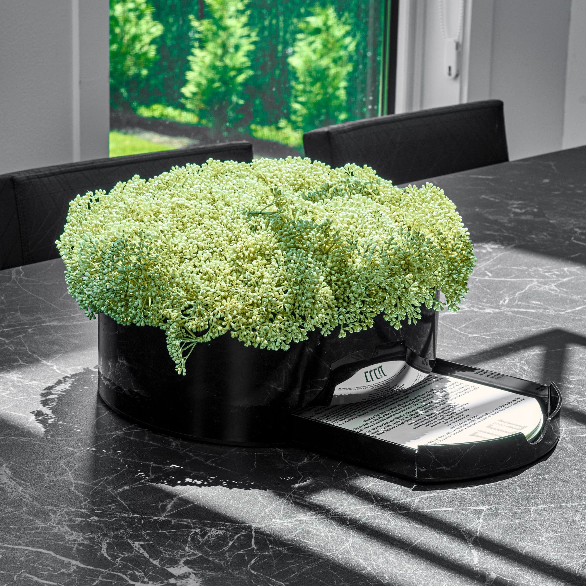 Greenery Round Vase Bencher Set (Black) - Waterdale Collection
