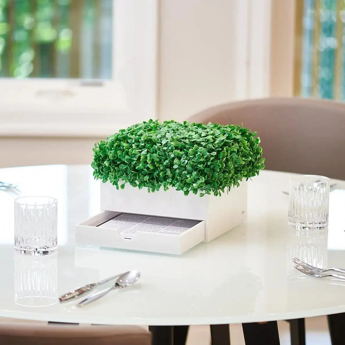 Boxwood Bencher Set - Waterdale Collection