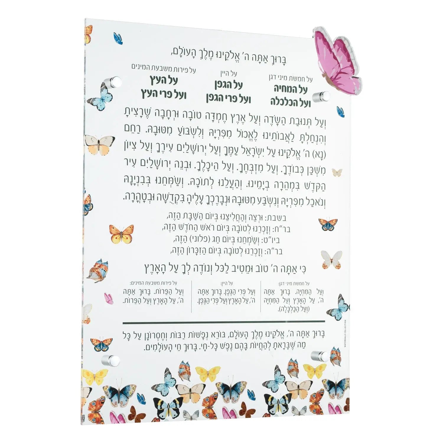 Butterfly Al Hamichyah - Waterdale Collection