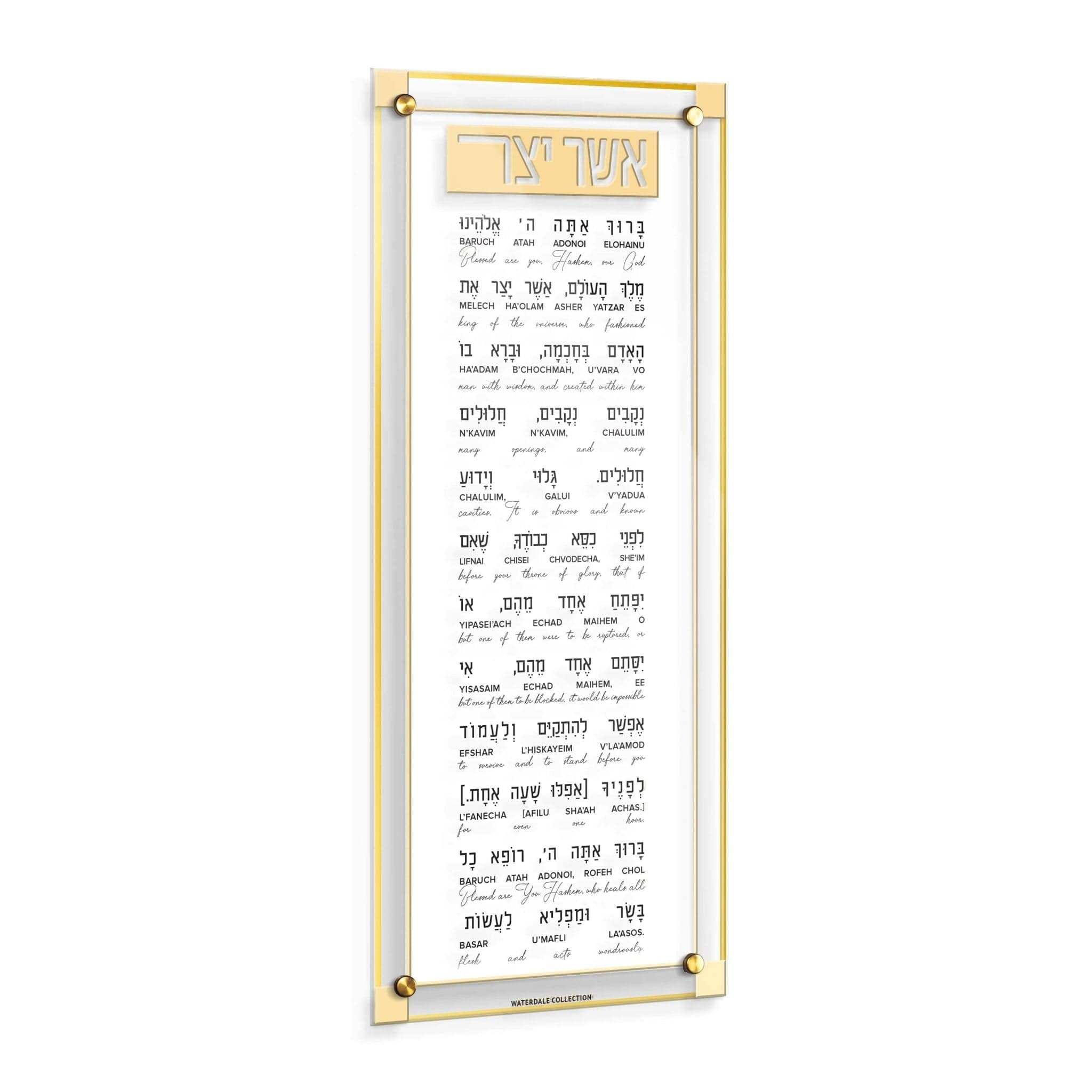 Classic 2.0 Asher Yatzar - Waterdale Collection