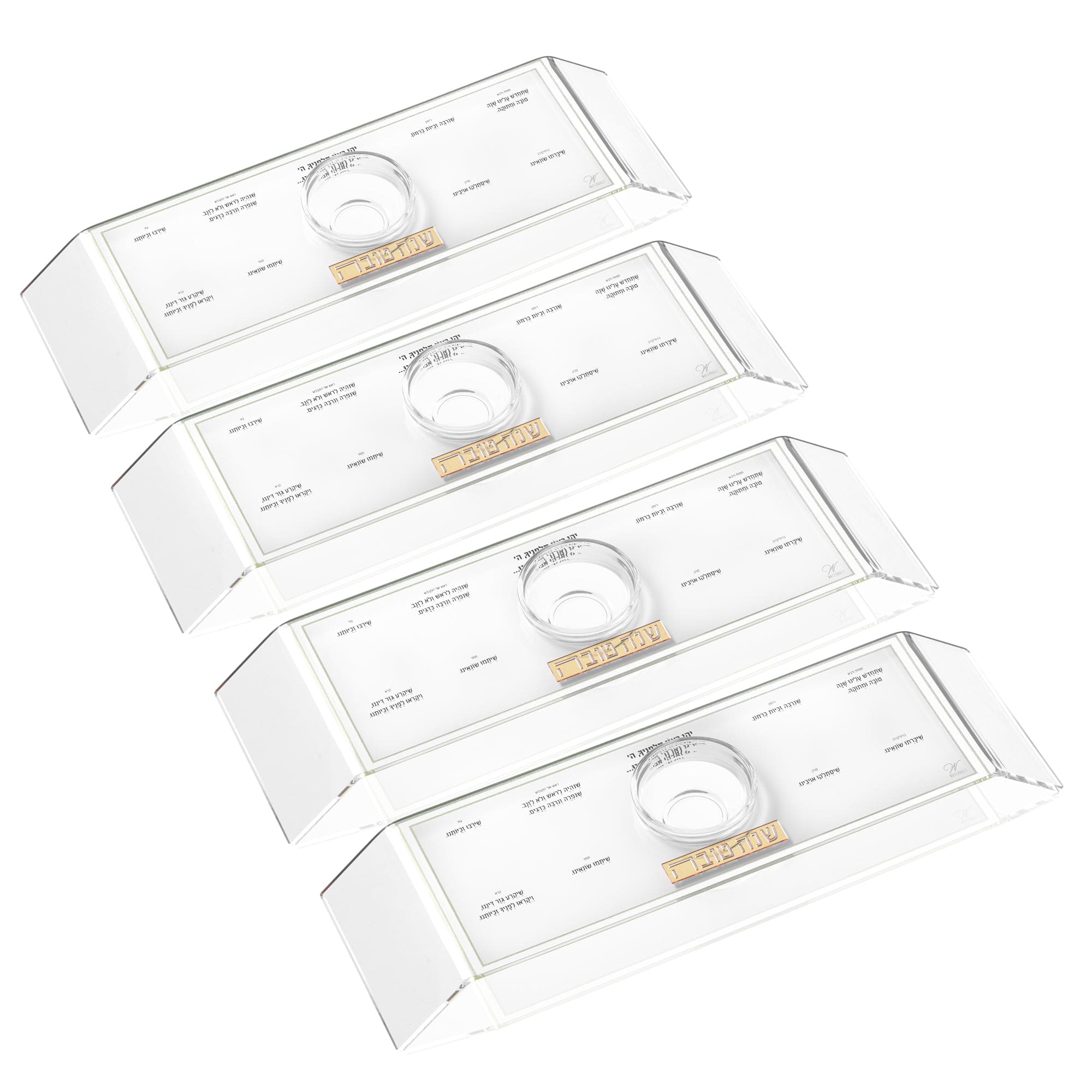 Gold Classic 2.0 Raised Simanim Trays (4)