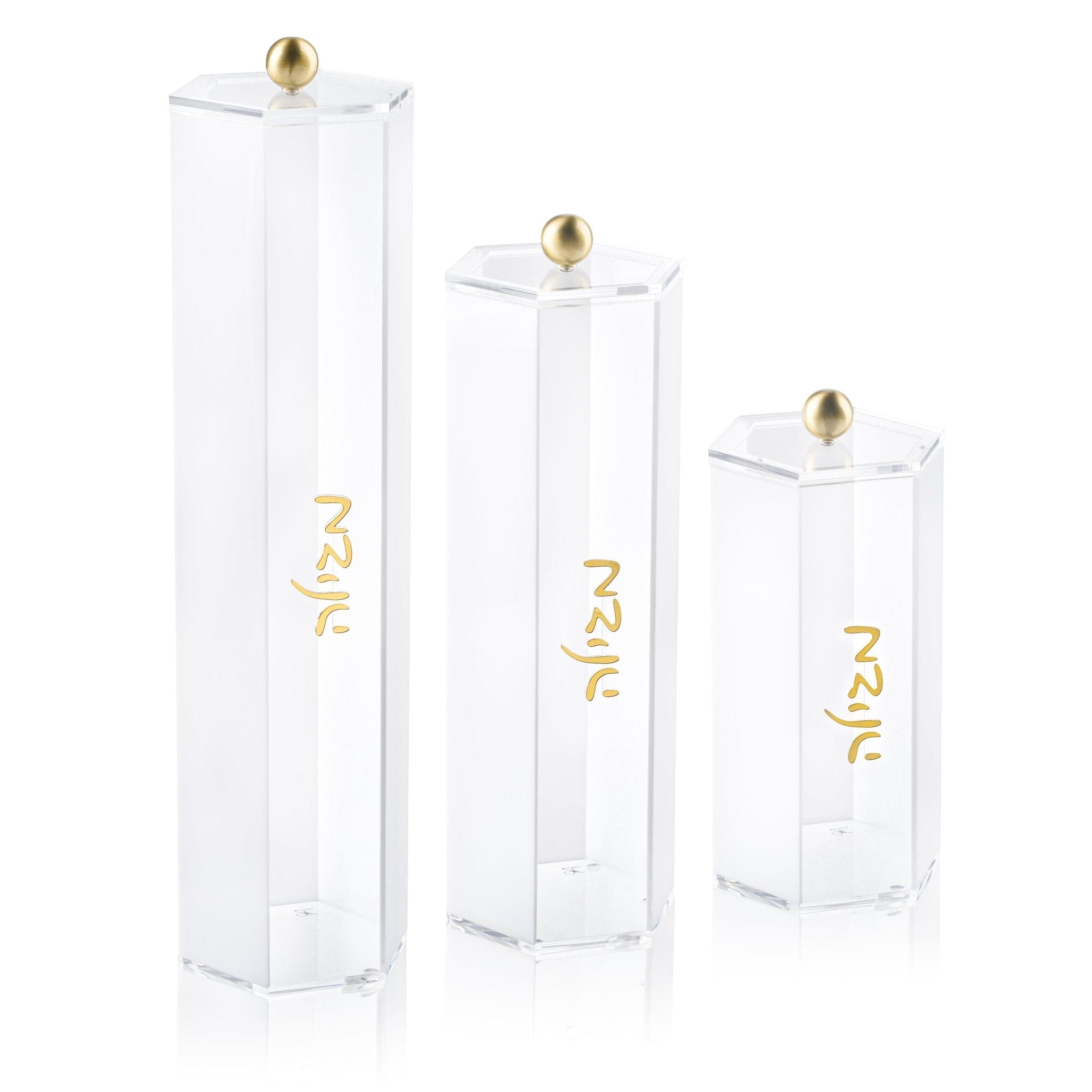 Classic Megillah Case - Waterdale Collection