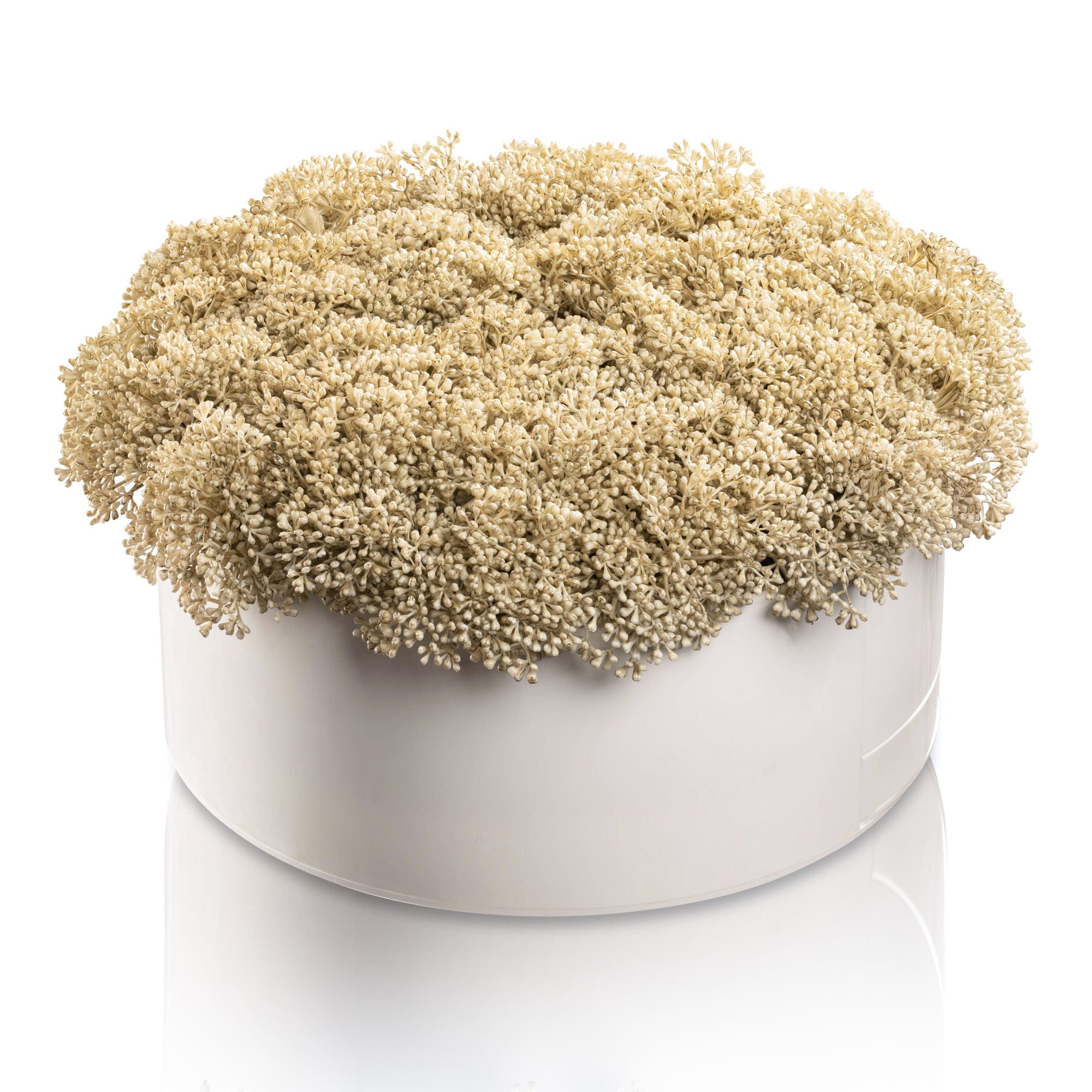 Greenery Round Vase Bencher Set - White