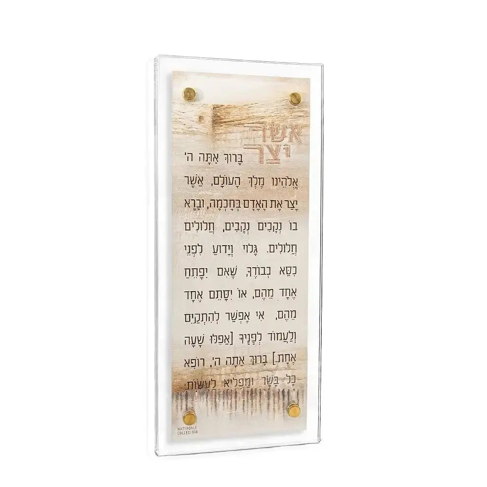 Jerusalem Taupe Kosel Asher Yatzar - Waterdale Collection
