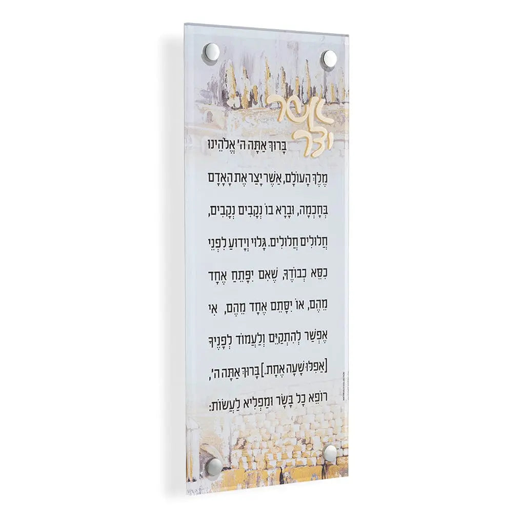 Kosel Asher Yatzar - Waterdale Collection