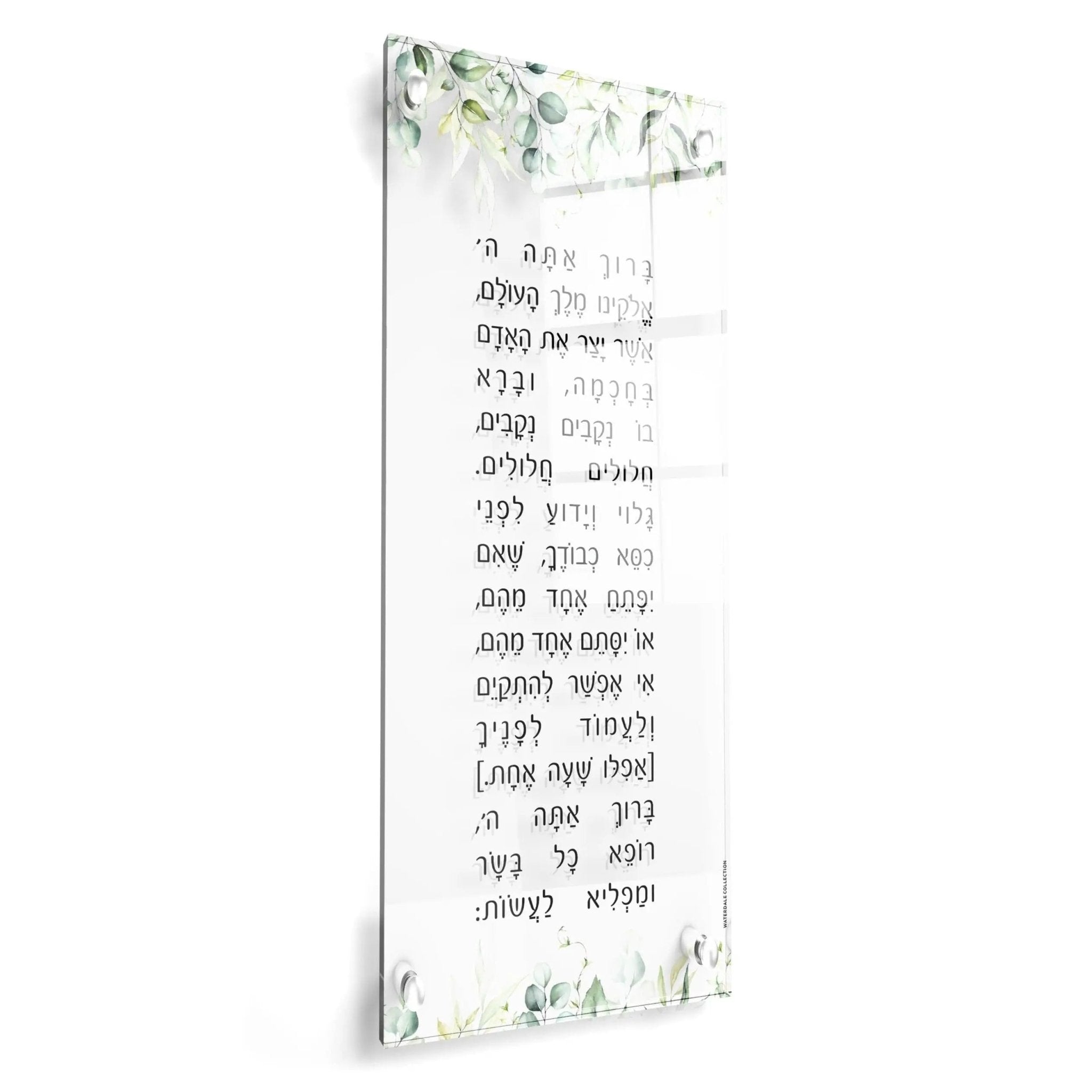 Leaf Asher Yatzar - Waterdale Collection