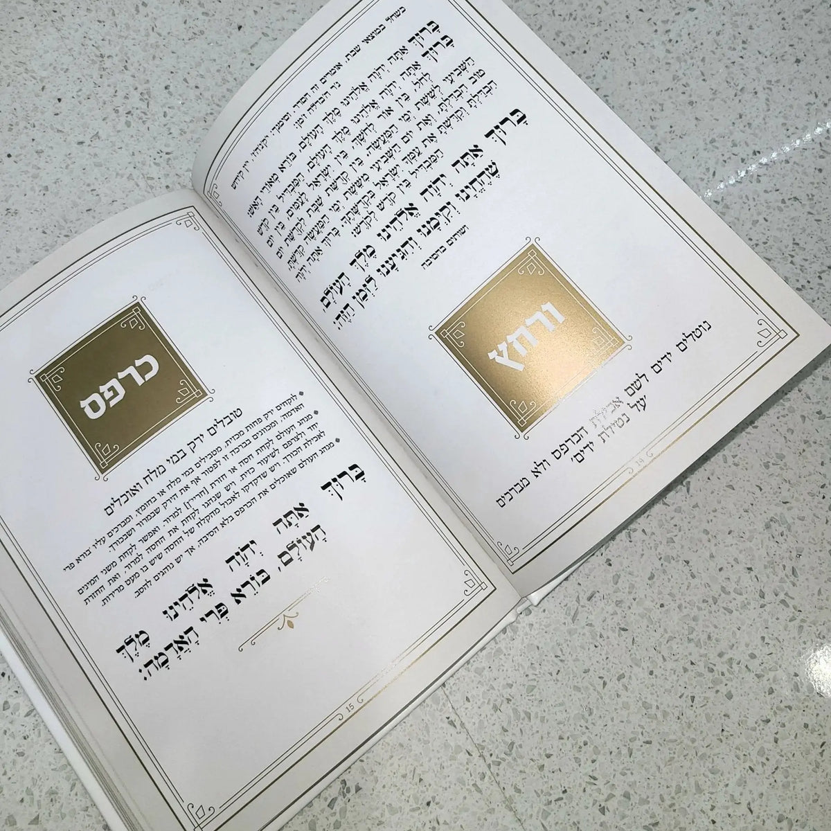 Leather Haggadah with Lucite Plate displayed open, showing tan leather cover and interior pages with text and gold plate insert for Passover.