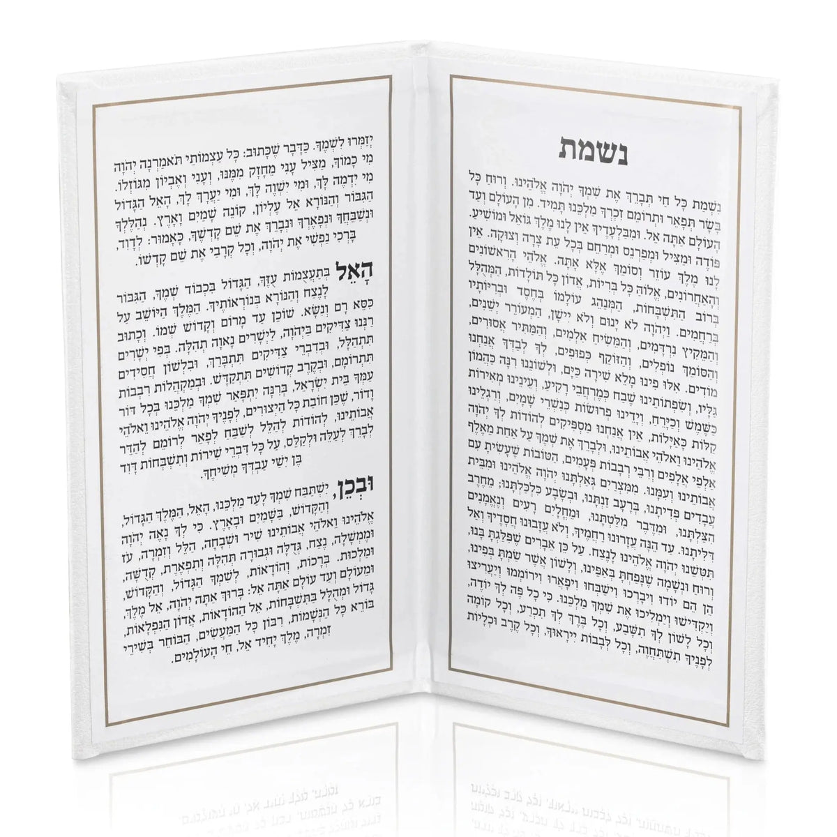 Leather Nishmas booklet open showing Hebrew text pages, burgundy cover with gold foil accents, compact prayer book format for daily use.
