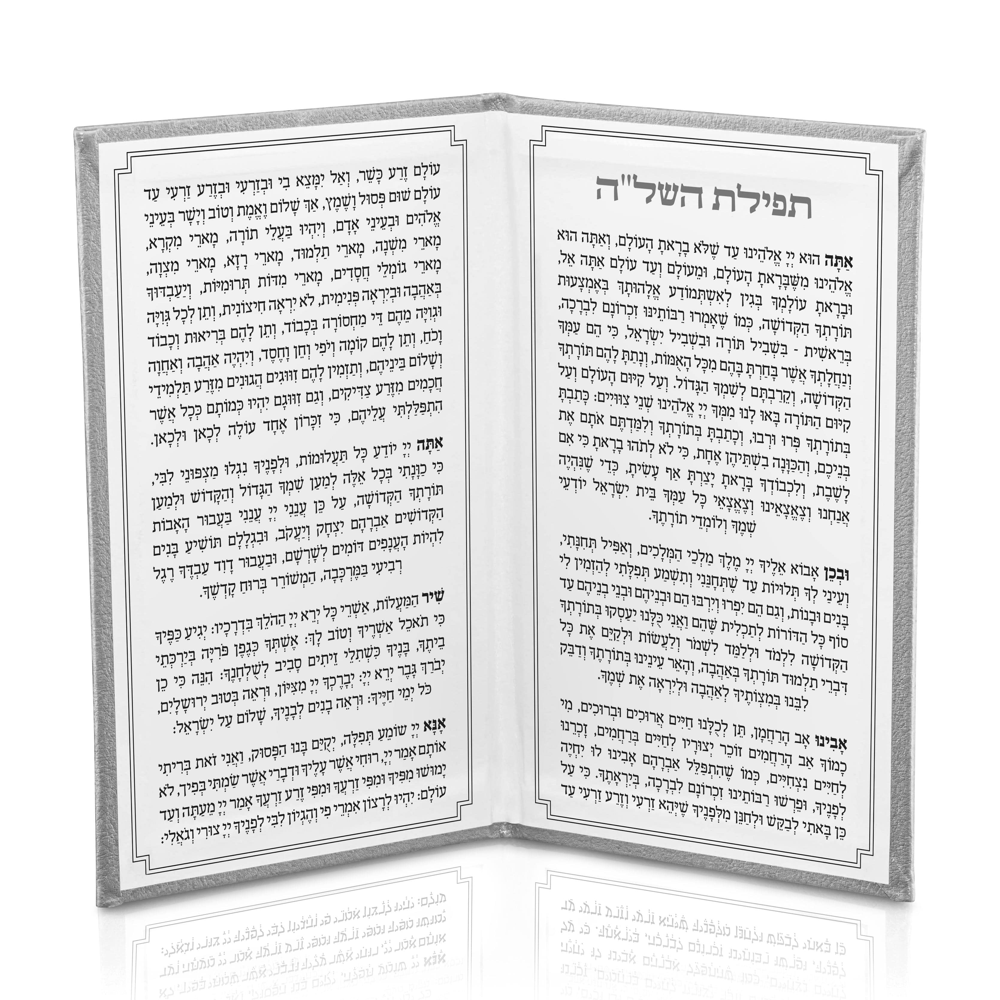 Silver Leather Tefillas Hashlah Book Opened | Waterdale Collection