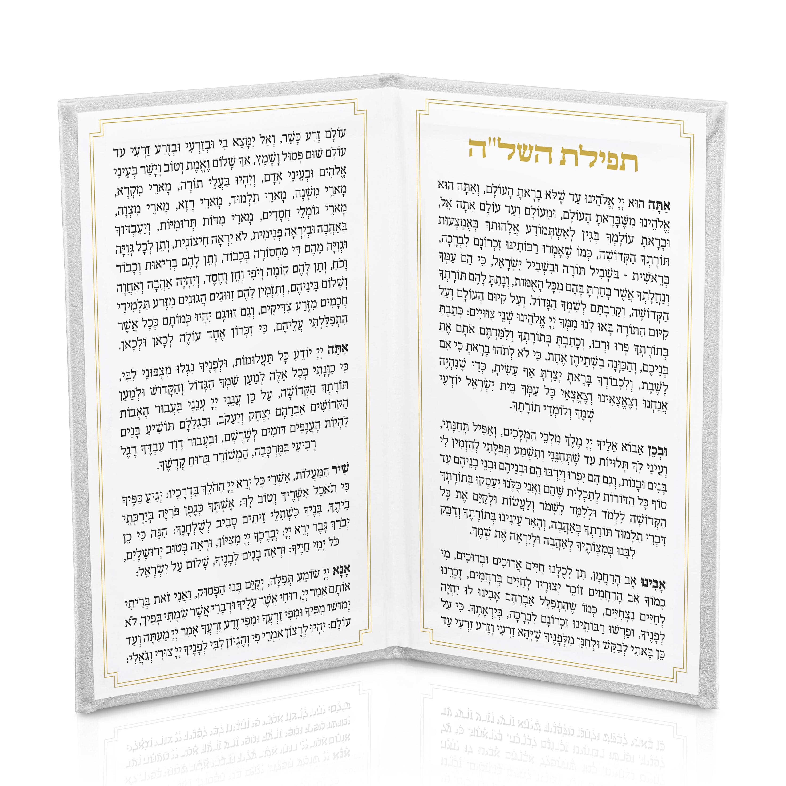 Silver Leather Tefillas Hashlah Book Opened | Waterdale Collection