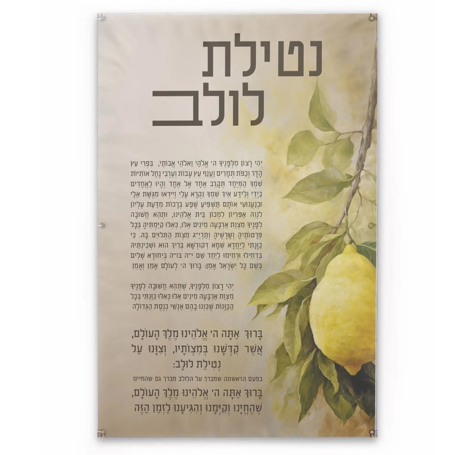 Netilas Lulav painted by batya vinyl sukkah decoration
