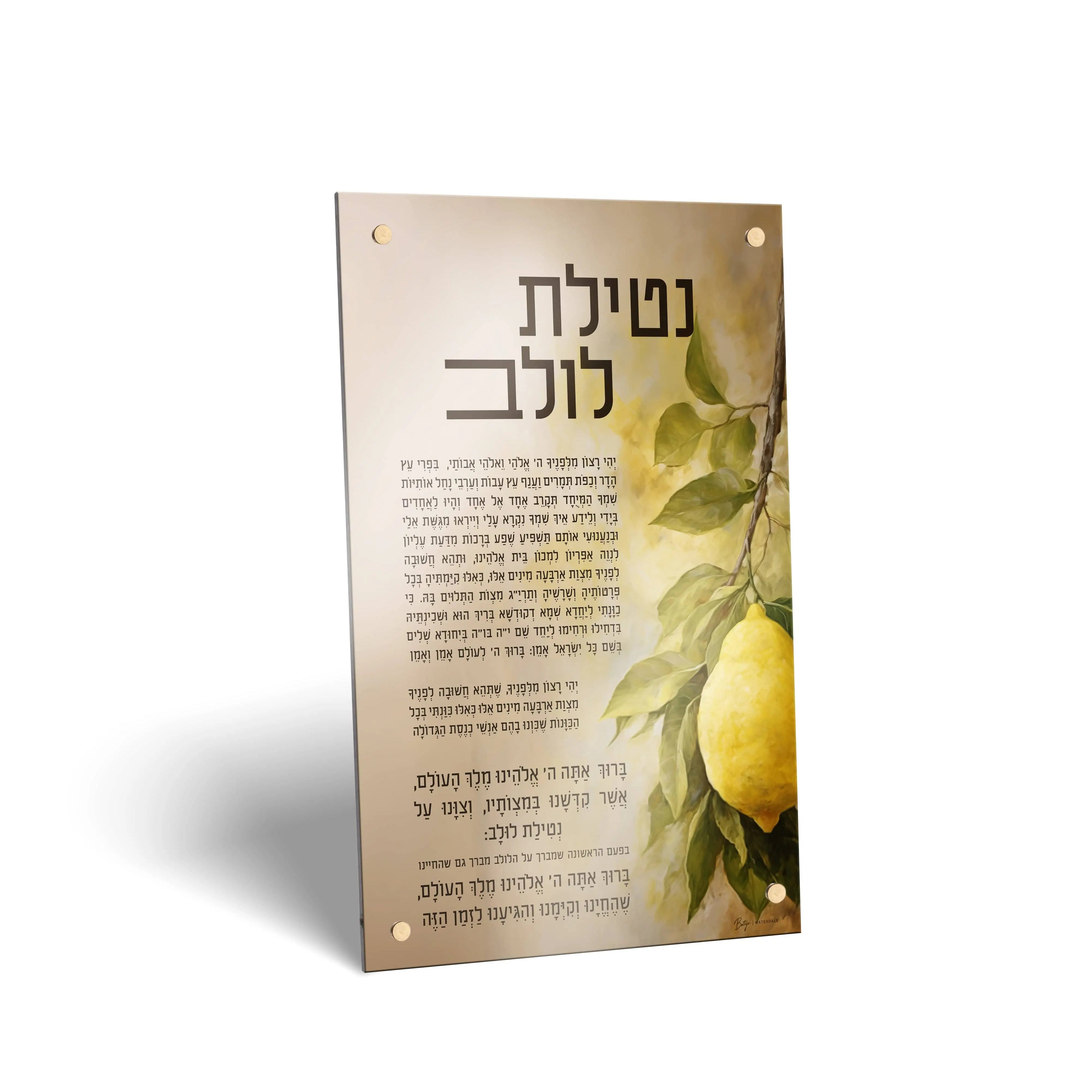 Painted by Batya Sukkah Decorations Waterdale Collection Sukkah Decoration