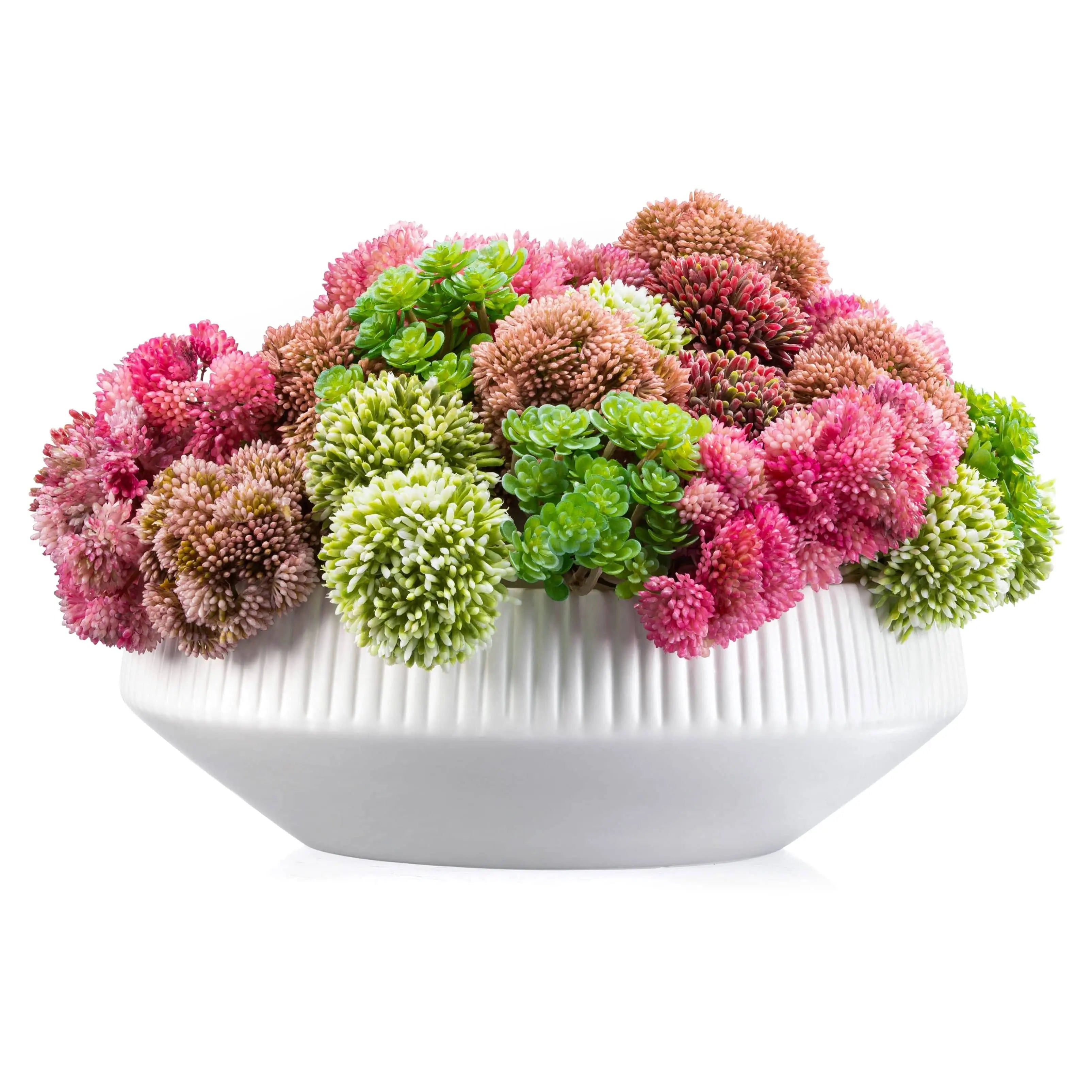 Succulent Pink White Flower Pot Waterdale Collection TableTop