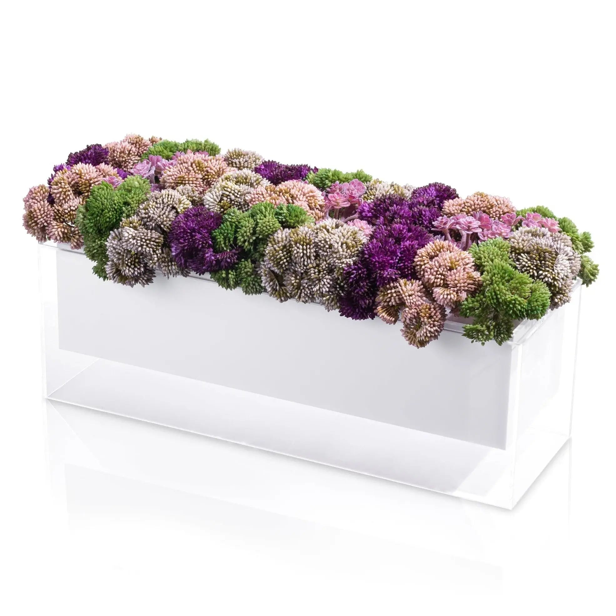 Purple Succulent Suspended Flower Arrangement Waterdale Collection TableTop