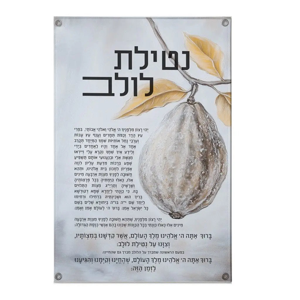 Painted by Batya Vinyl Silver Sukkah Decoration Set - Waterdale Collection