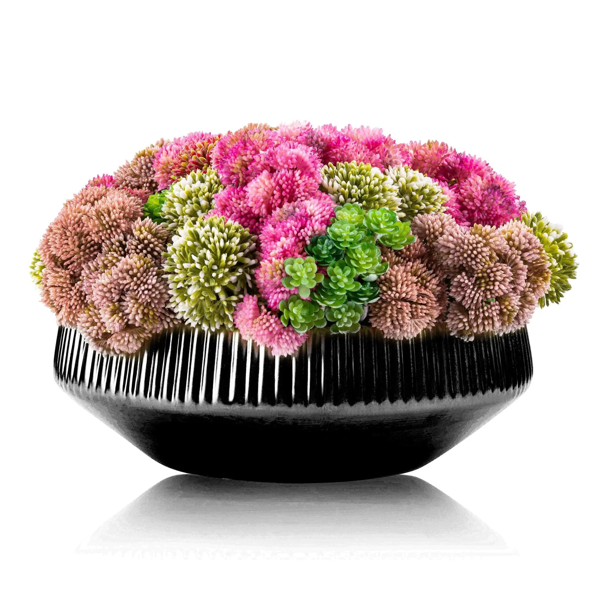 Succulent Black Flower Pot - Waterdale Collection