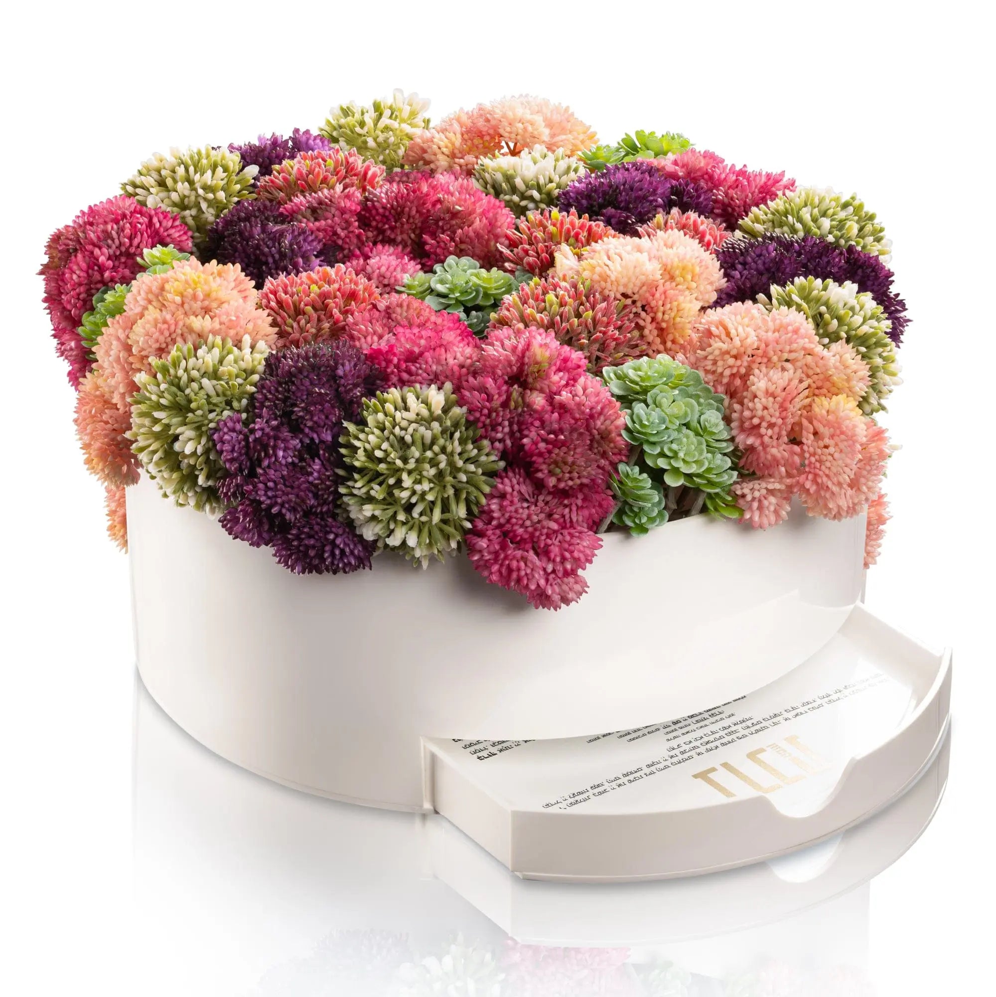 Succulent Pink Round Vase Bencher Set - Waterdale Collection