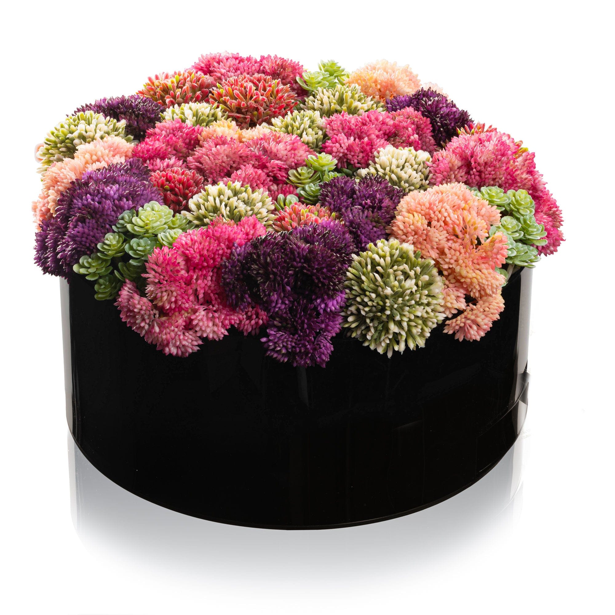 Succulent Pink Round Vase Bencher Set - Black