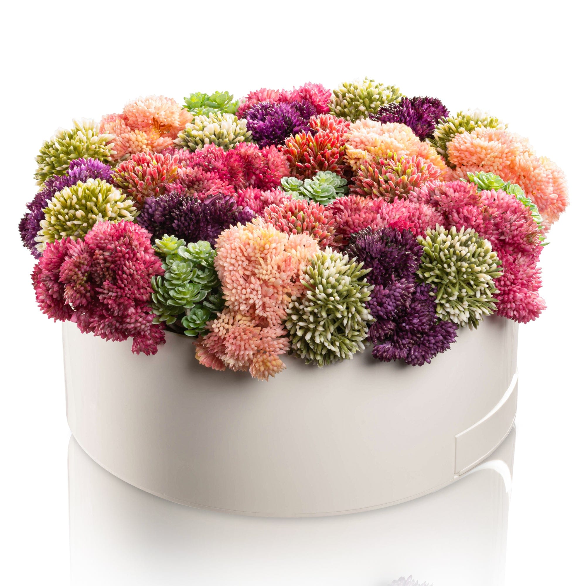 Succulent Pink Round Vase Bencher Set - White