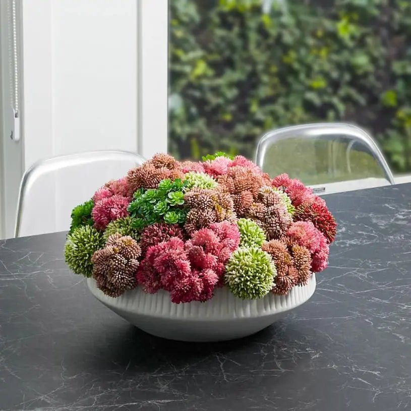 Succulent Black Flower Pot - Waterdale Collection