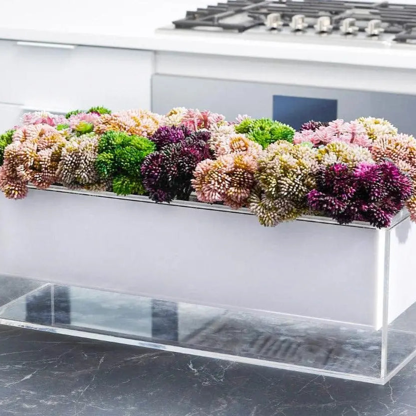 Purple Succulent Suspended Flower Arrangement Waterdale Collection TableTop