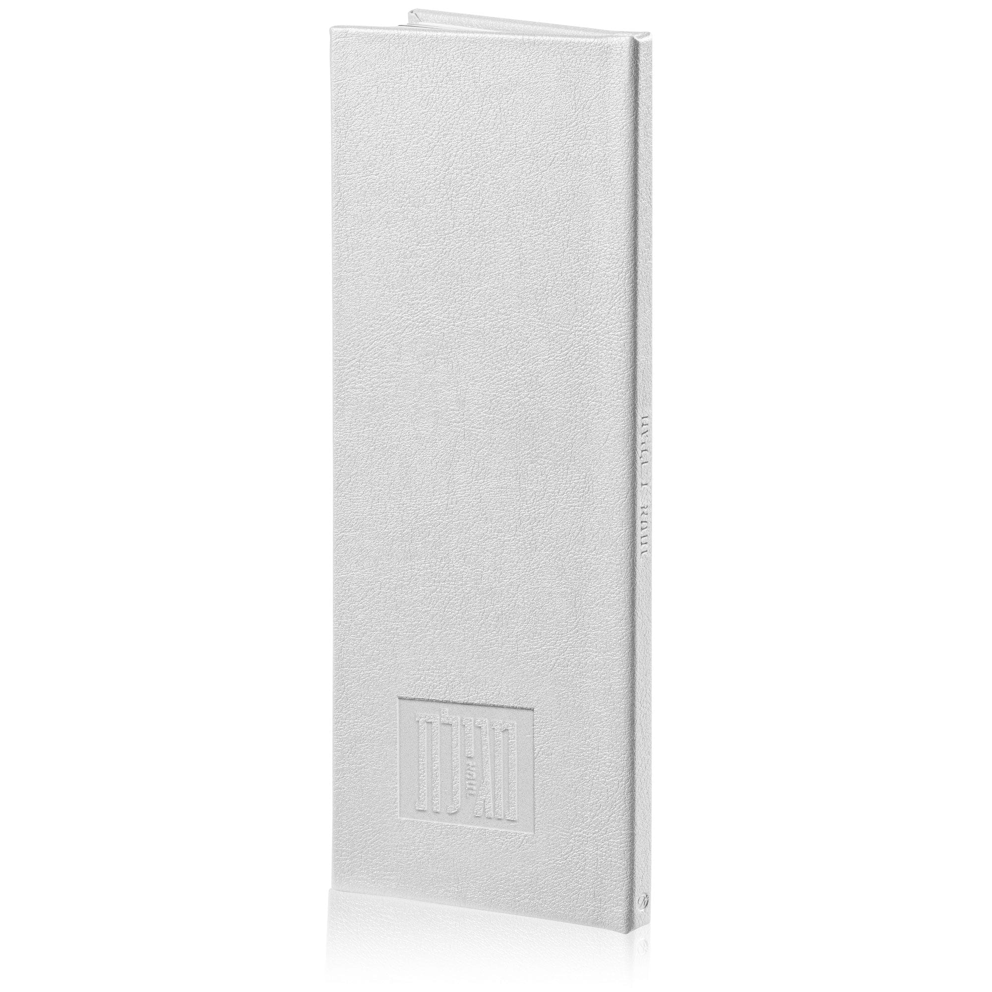 Silver Tall Leather Painted Megillas Esther book | Waterdale Collection