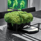 Greenery Round Vase Bencher Set  by  Waterdale Collection