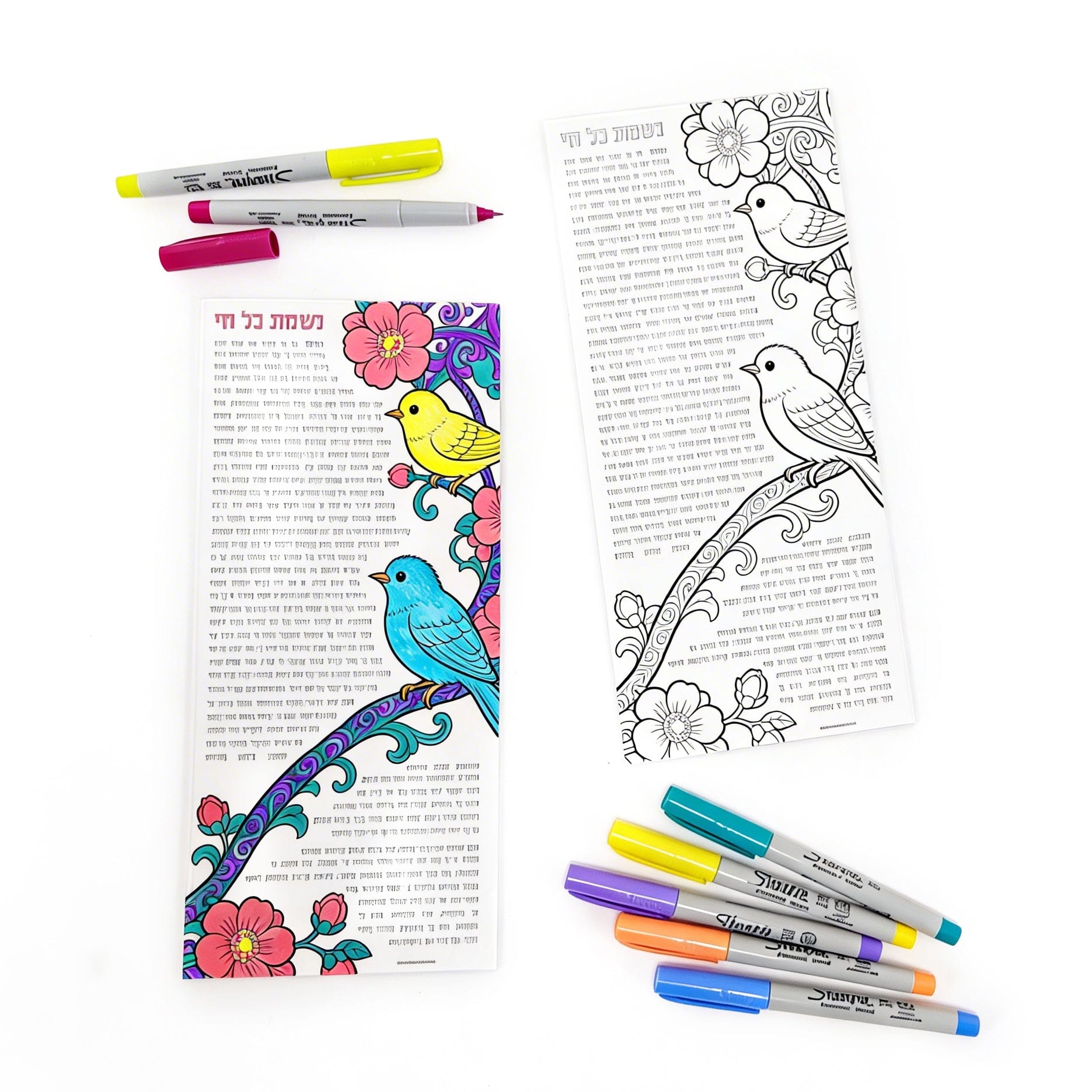 Color-It acrylic Bird Nishmas card with floral and bird illustration, shown in black-and-white and colored versions with markers for decorating.