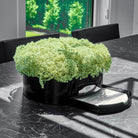 Greenery Round Vase Bencher Set (Black) - Waterdale Collection