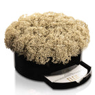 Greenery Round Vase Bencher Set (Black) - Waterdale Collection