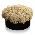 Greenery Round Vase Bencher Set (Black) - Waterdale Collection