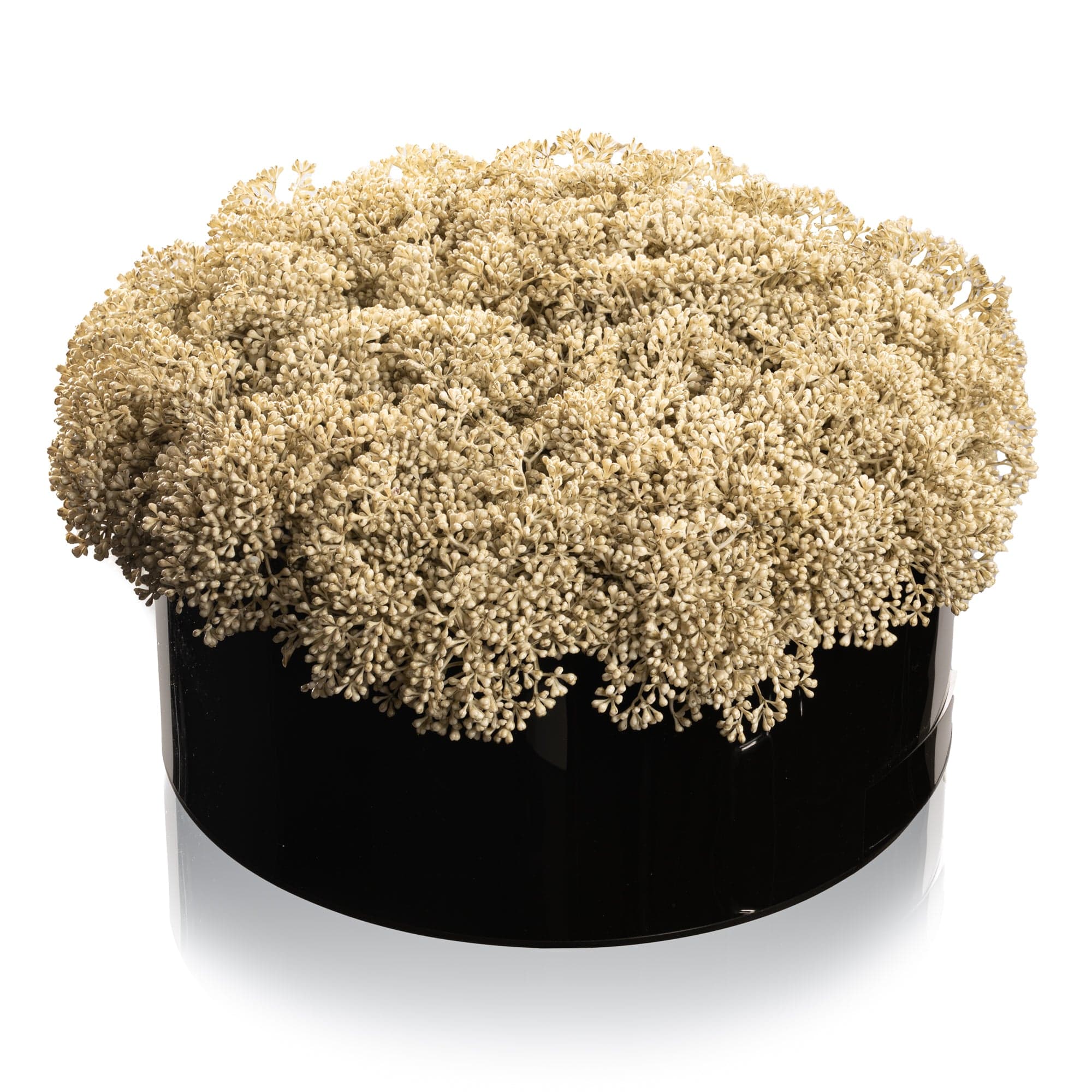 Greenery Round Vase Bencher Set (Black) - Waterdale Collection