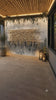Kosel Reflected in Prayer vinyl sukkah decoration video