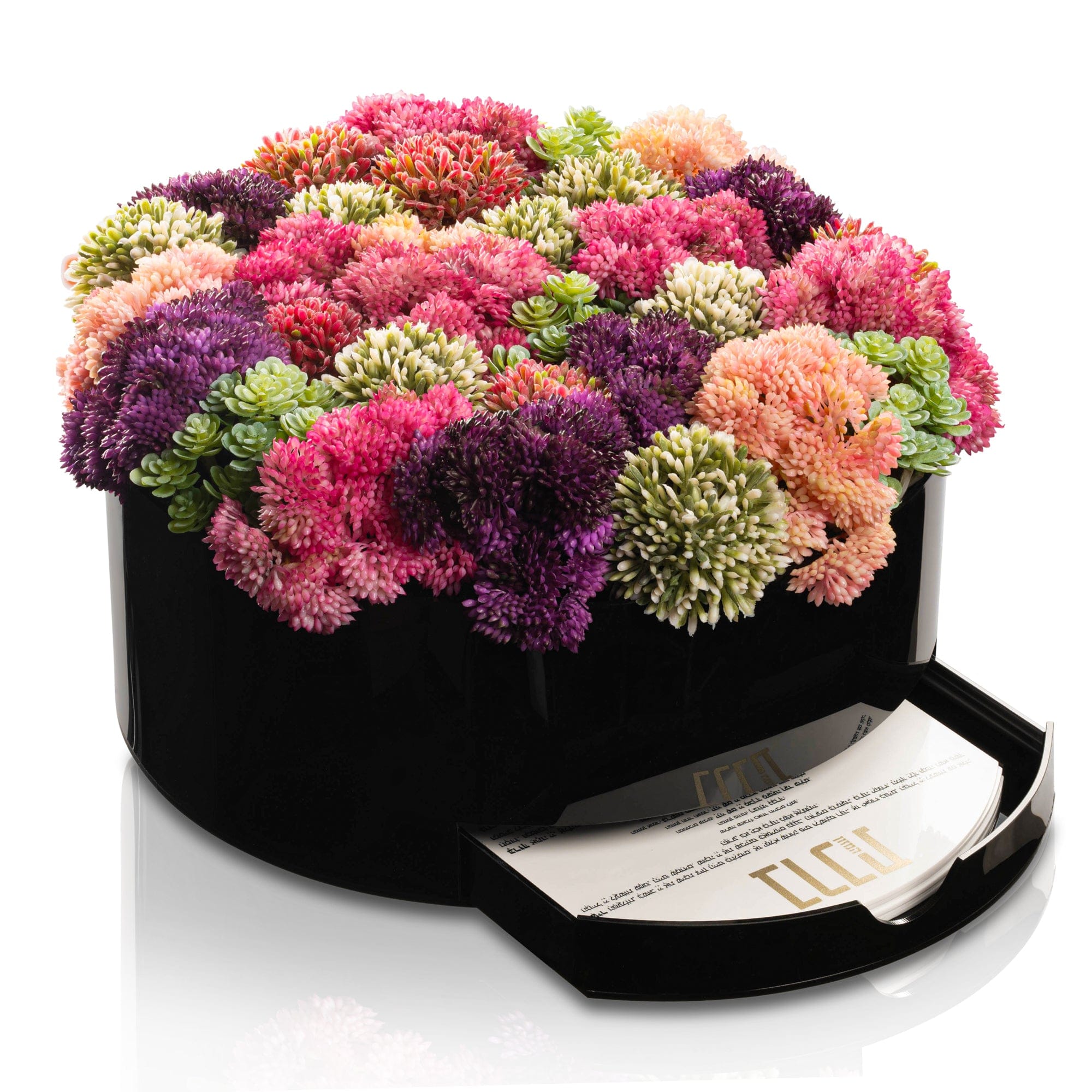 Succulent Pink Round Vase Bencher Set (Black) - Waterdale Collection