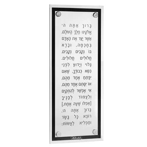 Basics Modern Asher Yatzar - Waterdale Collection