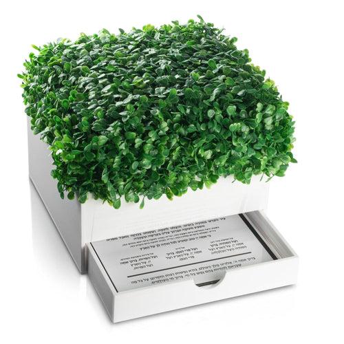 Boxwood Bencher Set - Waterdale Collection