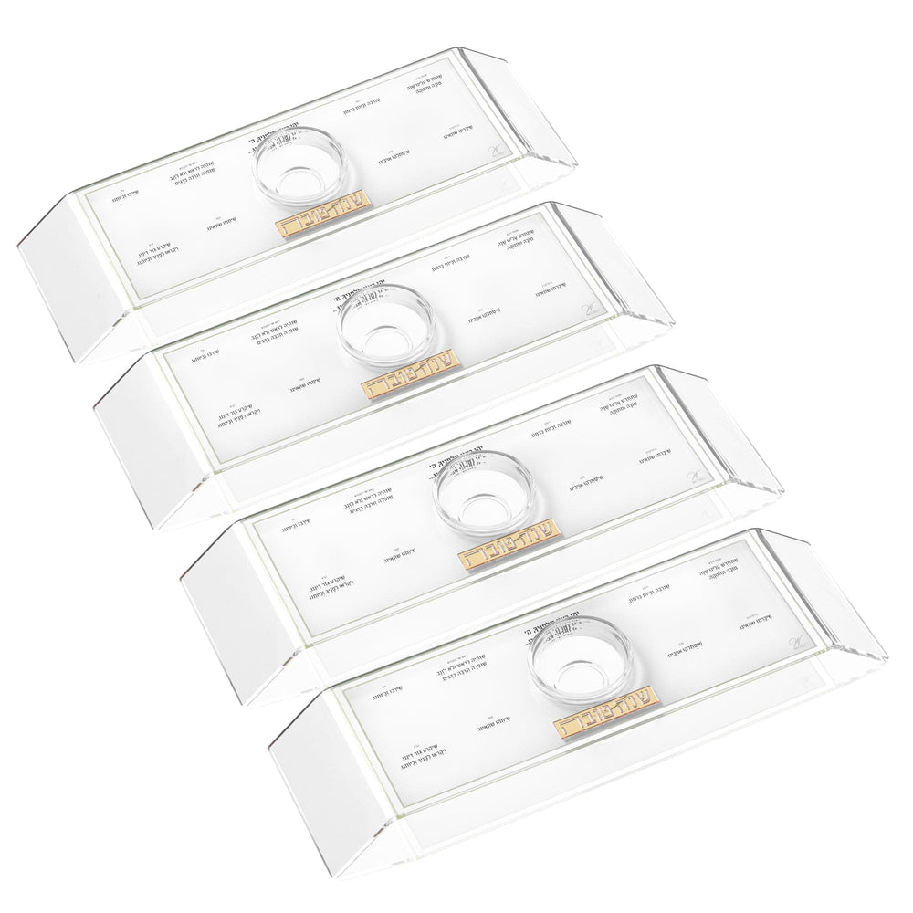 Gold Classic 2.0 Raised Simanim Trays (4)