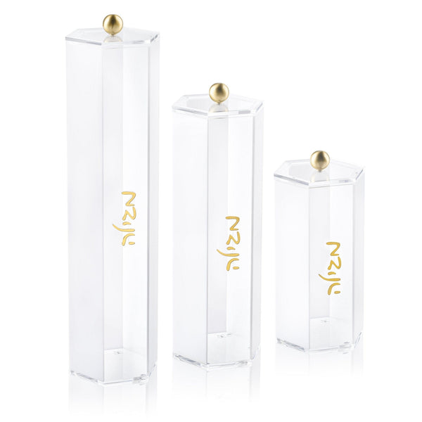 Classic Megillah Case - Waterdale Collection