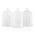 Glass Cloche Havdalah Set - Waterdale Collection