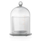 Glass Cloche Match Holder - Waterdale Collection