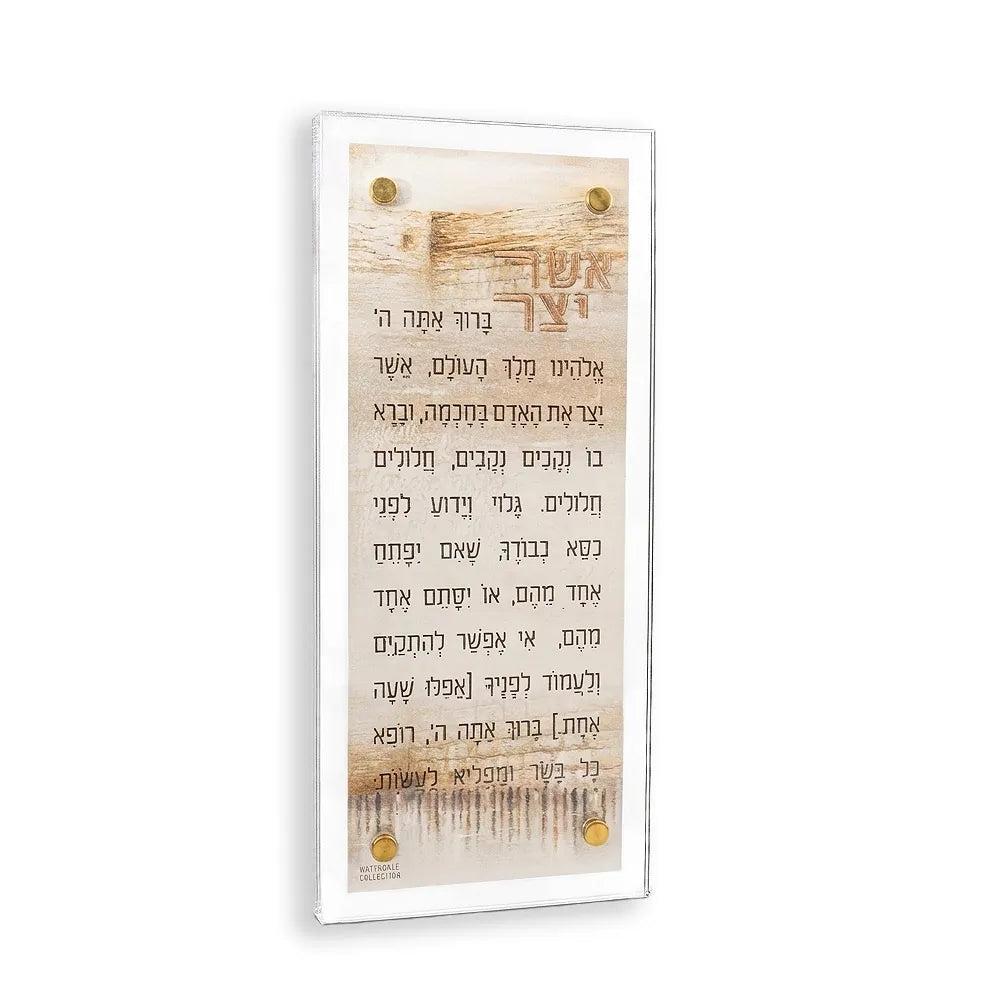 Jerusalem Taupe leather and lucite Asher Yatzar with gold floating screws