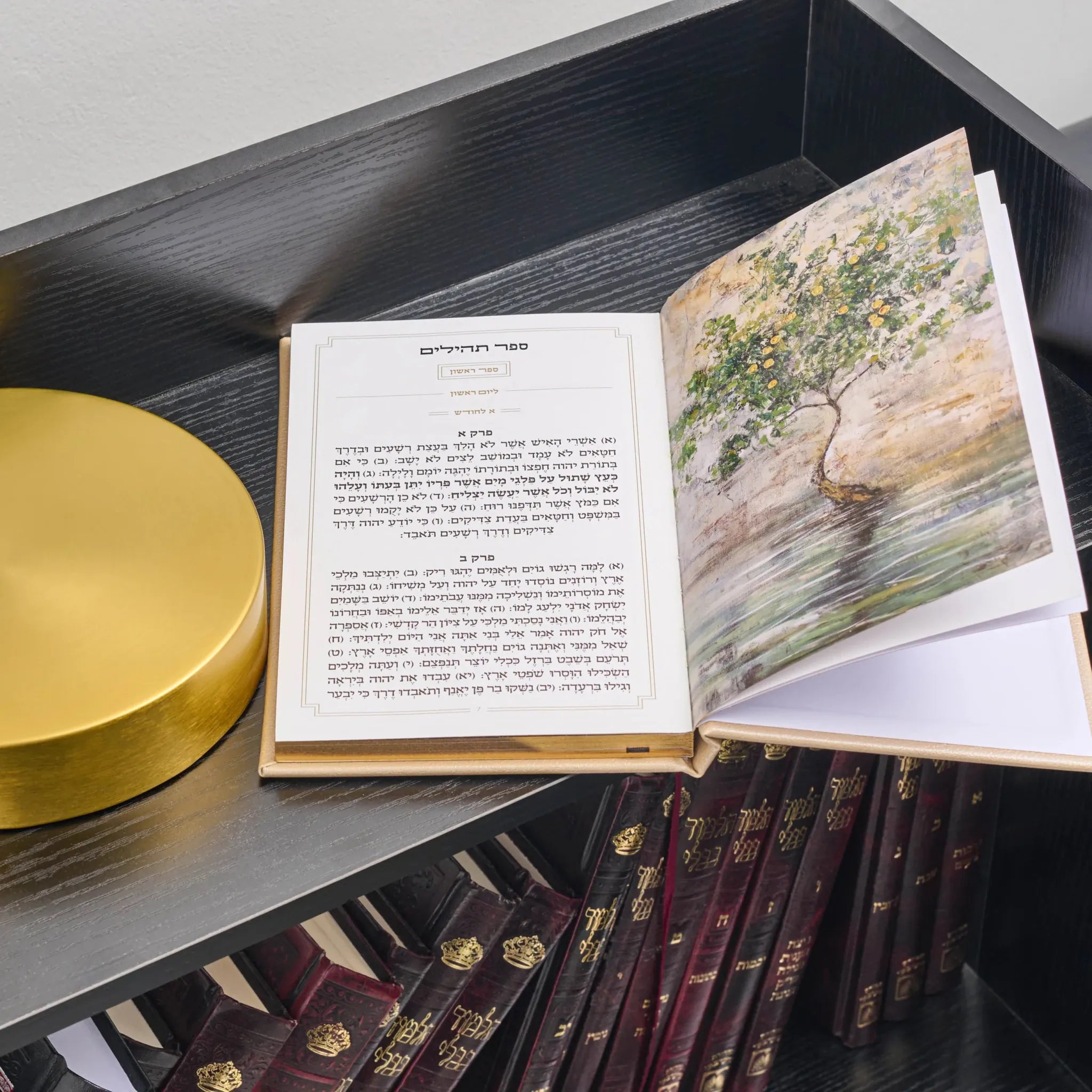 An open Hebrew leather tehillim book with printed text on one page and a tree illustration on the other, displayed on a dark shelf above other bound books.