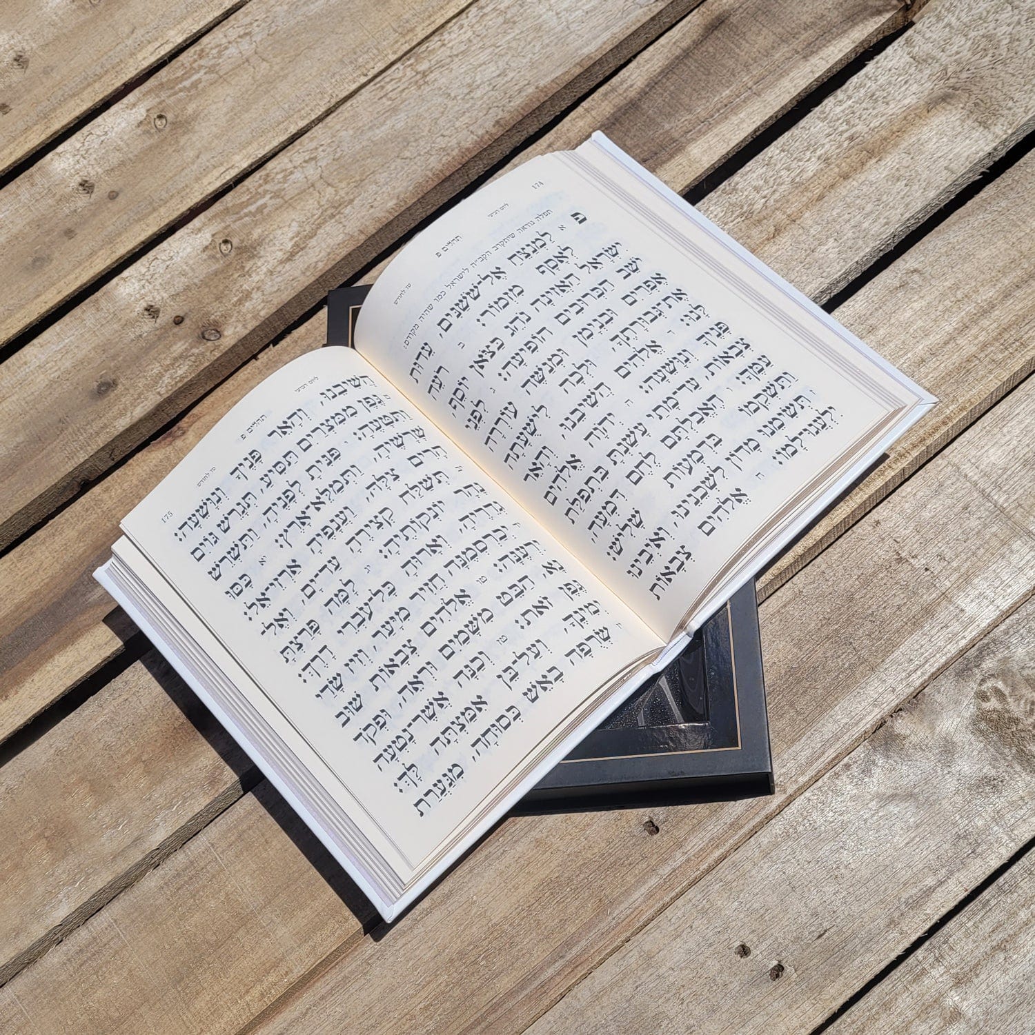 Leather Tehillim with Lucite Plate - Waterdale Collection