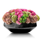 Succulent Black Flower Pot