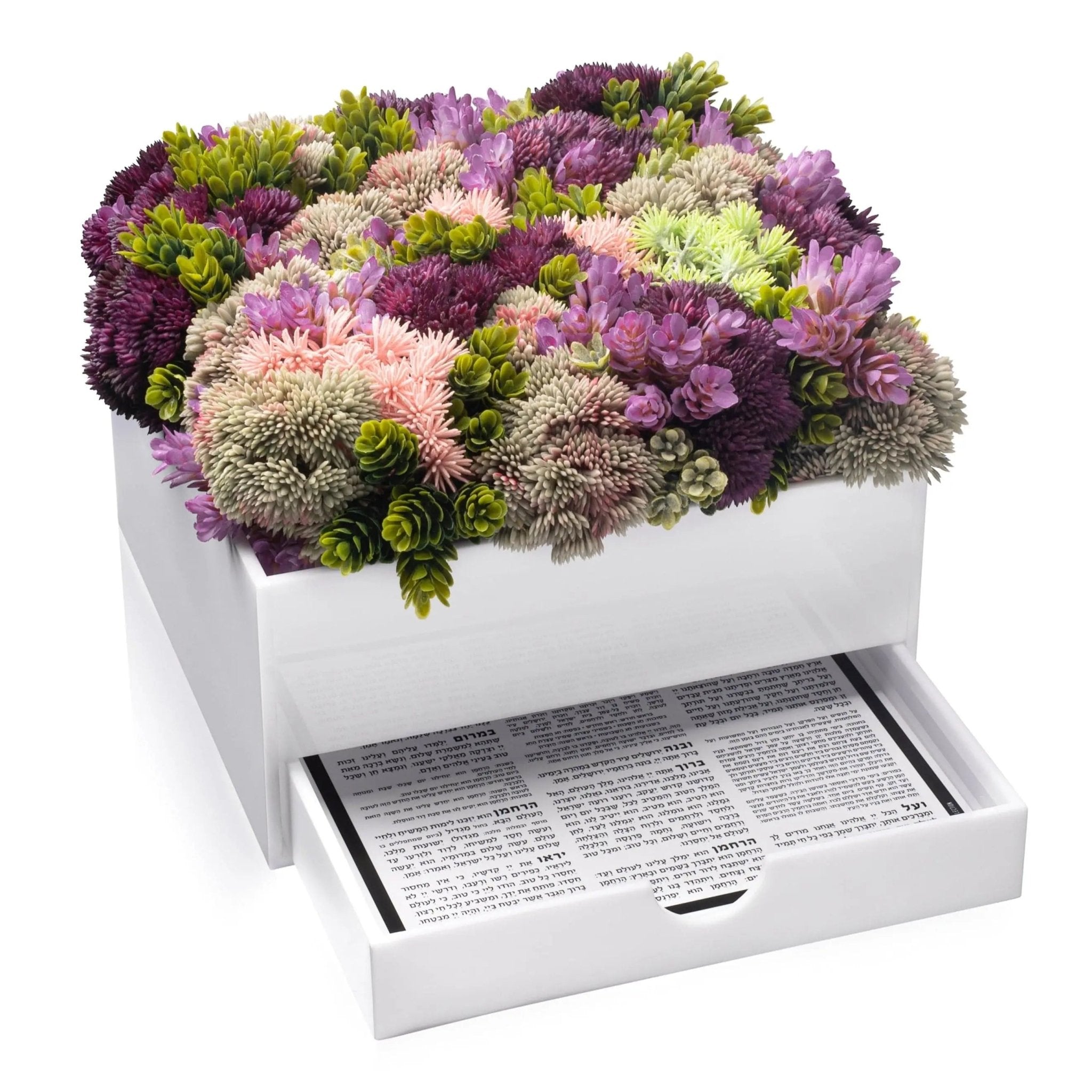 Succulent Bencher Set - Waterdale Collection