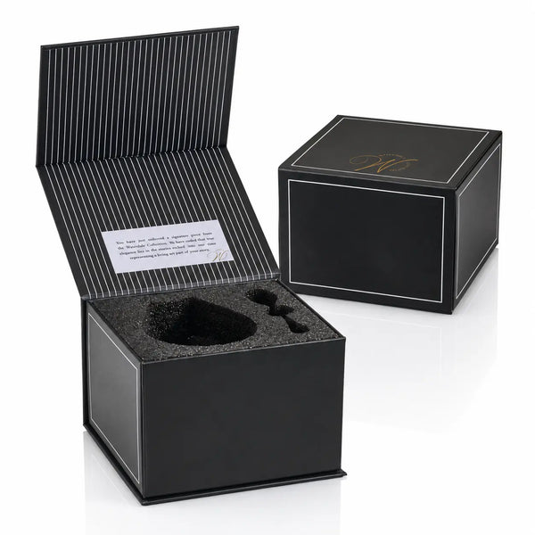 A Waterdale black Magnetic presentation gift box shown open and closed on a white background. The open box reveals a black foam insert with a custom cutout, and the inside lid has thin white pinstripes and a small white card.